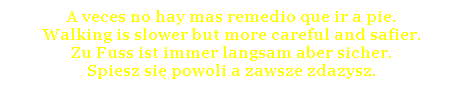 Cuadro de texto: A veces no hay mas remedio que ir a pie.
Walking is slower but more careful and safier.
Zu Fuss ist immer langsam aber sicher.
Spiesz się powoli a zawsze zdazysz.


